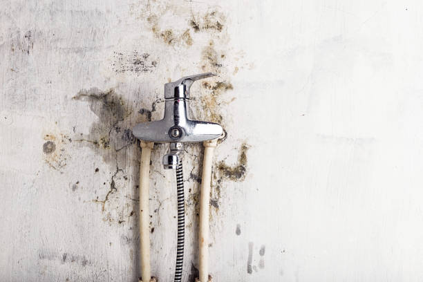 Best Office Mold Removal Services  in Upper Lake, CA