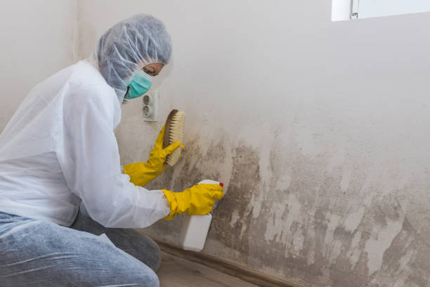 Best Water Damage Restoration  in Upper Lake, CA