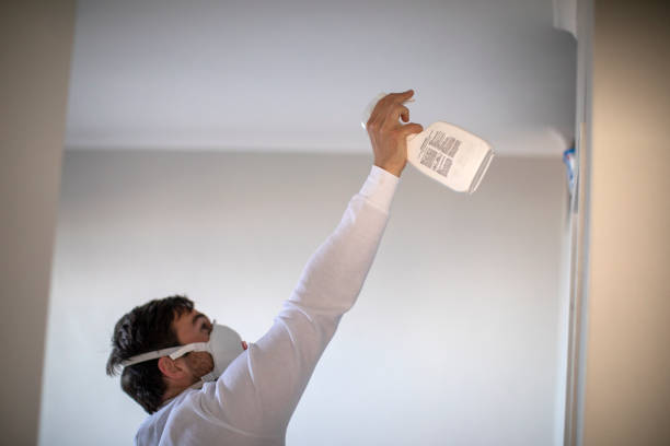 Best Certified Mold Removal  in Upper Lake, CA