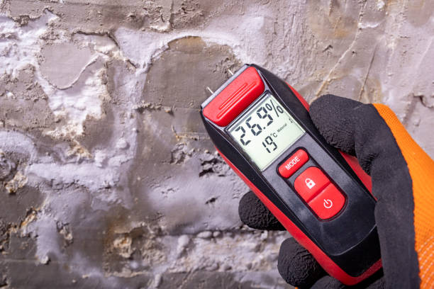 Best Professional Mold Removal  in Upper Lake, CA