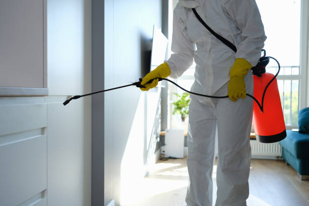 Best Mold Removal Company Near Me  in Upper Lake, CA