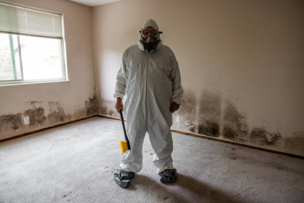 Best Mold Testing  in Upper Lake, CA