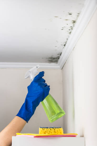 Best Water Damage Restoration  in Upper Lake, CA
